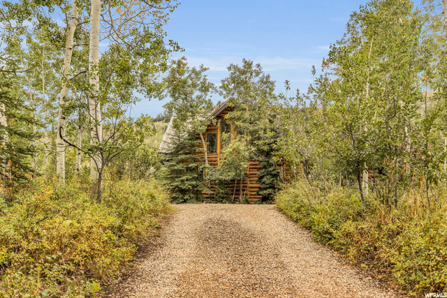 Driveway 2