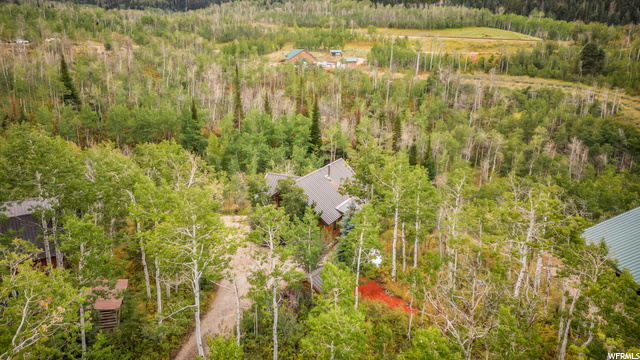 Aerial Side