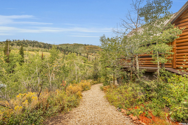 Side Path