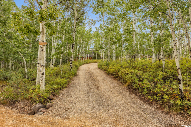 Driveway 1