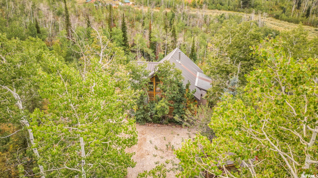 Aerial - Driveway