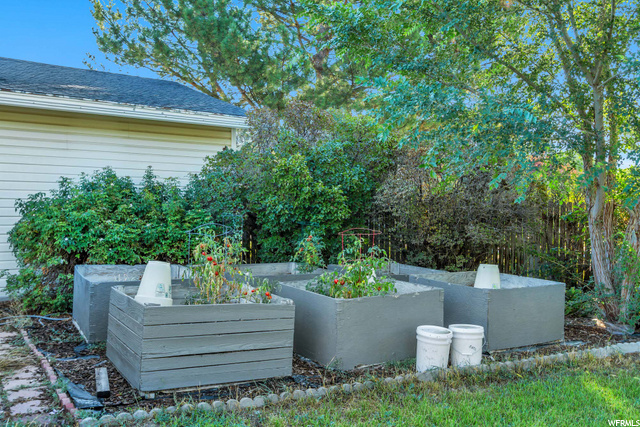 Garden Area