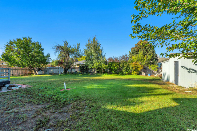 Large Back Yard