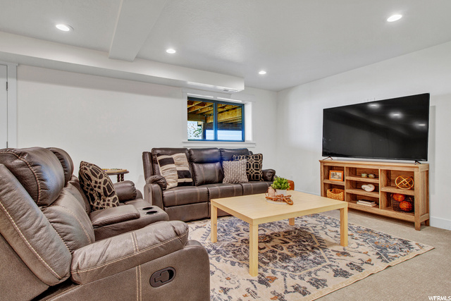 Basement Living Room