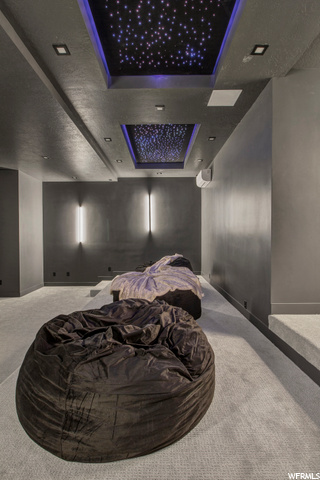 Theater Starlight Ceiling