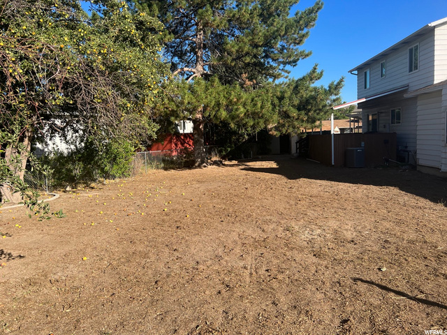 Huge Backyard
