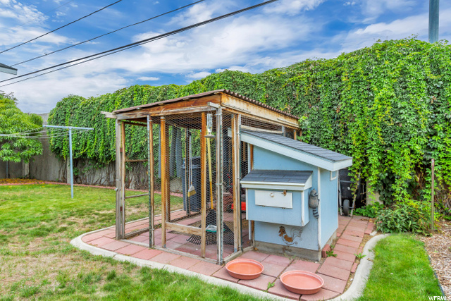 Chicken Coop