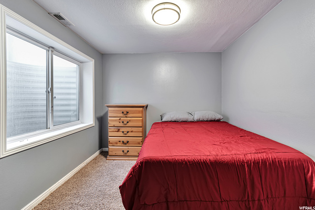 Basement Bedroom