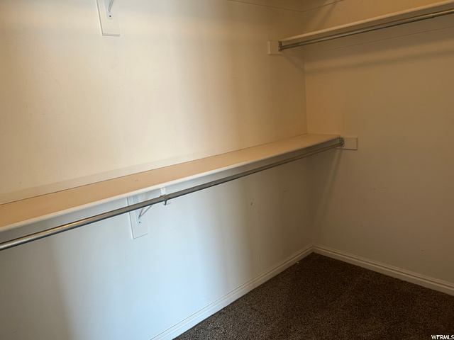 Master walk in closet