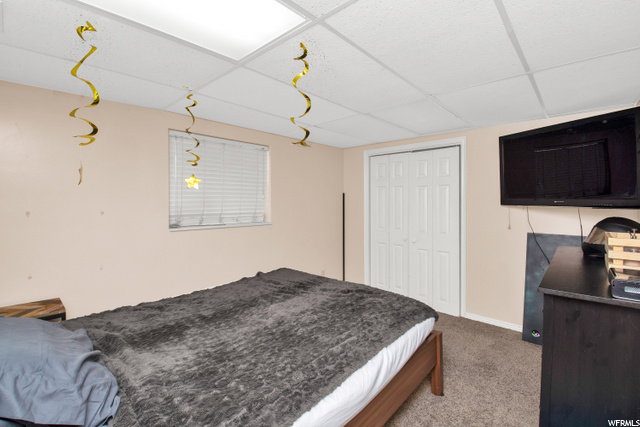 Basement Apartment