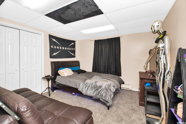 Basement Apartment