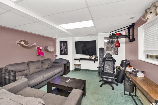 Basement Apartment