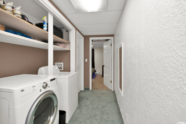 Basement Apartment
