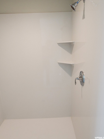 Primary bath shower