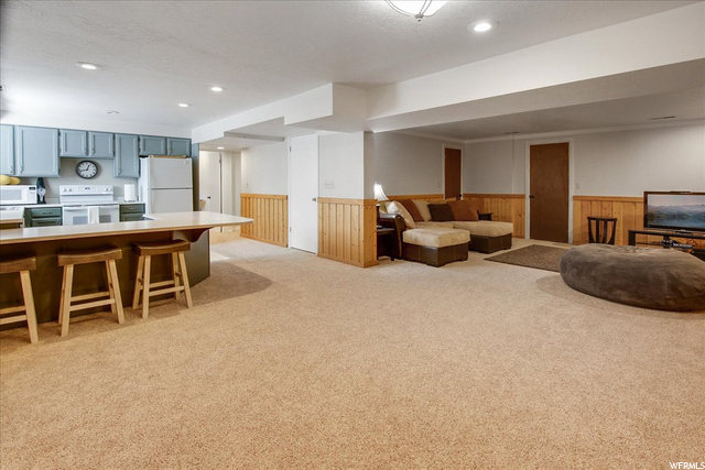 Lower Level Family Room