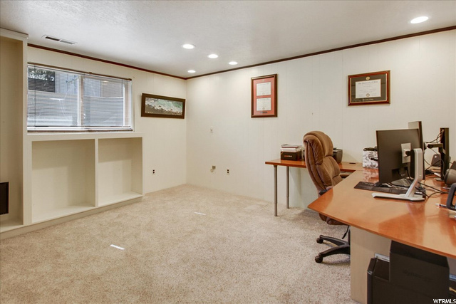 Lower Level Bedroom/Office