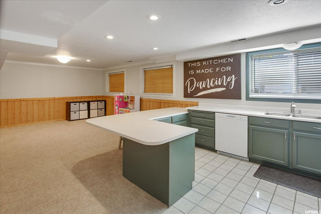 Lower Level Kitchen
