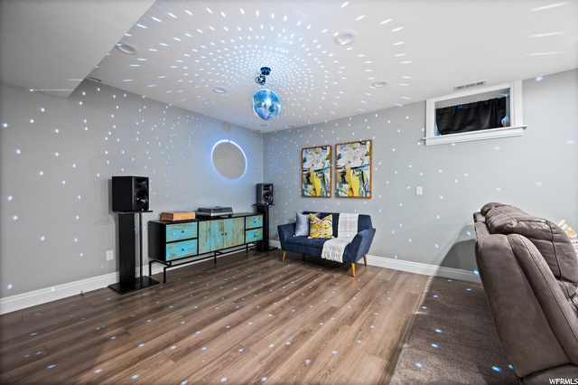 Basement family room/dance floor