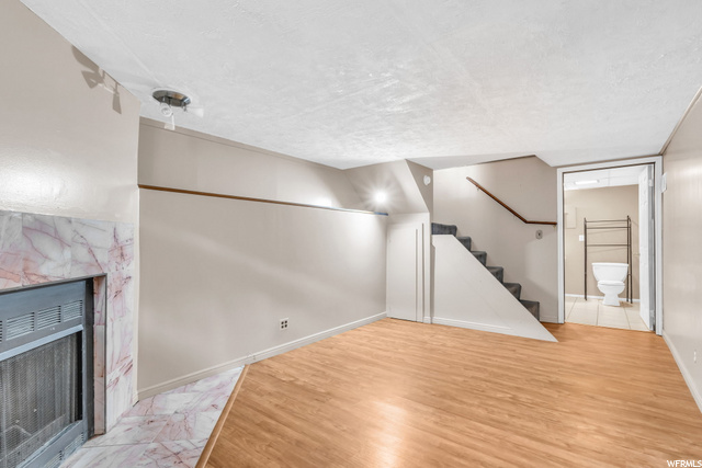 Basement Main Living