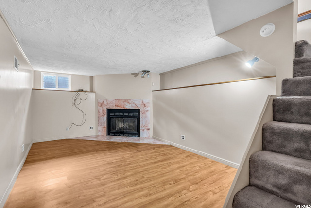 Basement Main Living