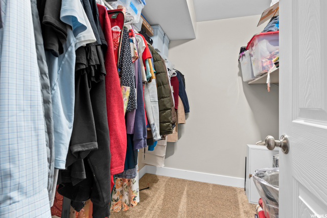Basement Bedroom Walk-In Closet