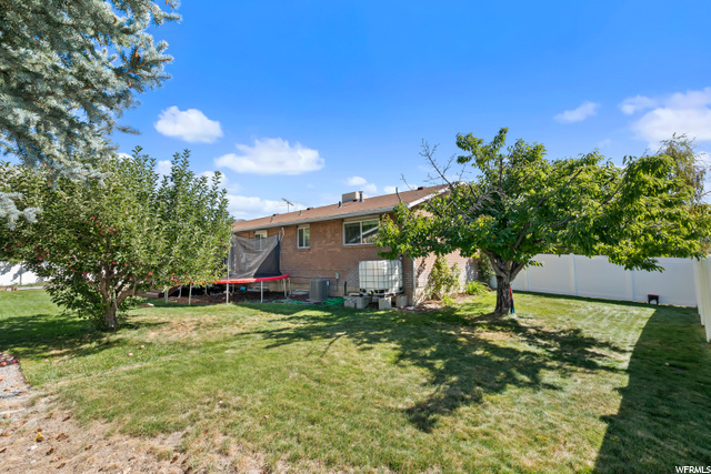 Rear Yard & Fruit Trees