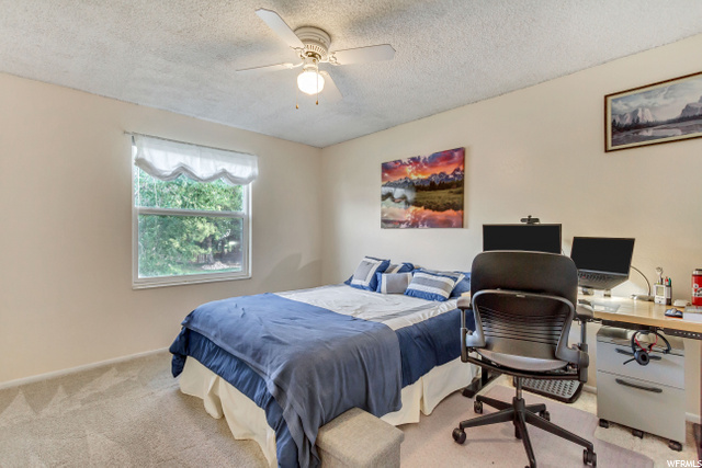 2nd Bedroom