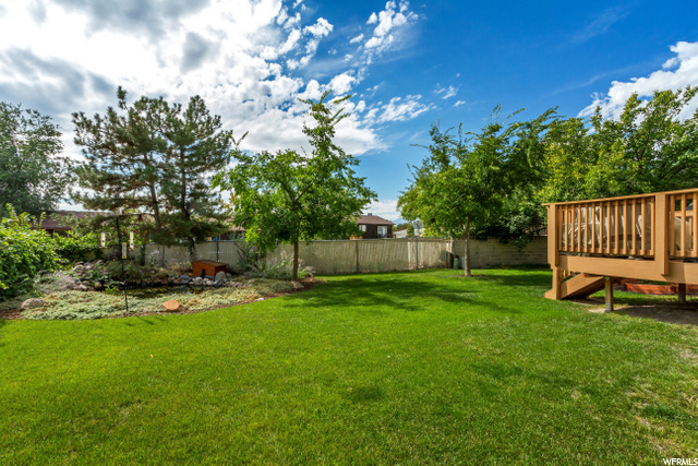 Large Backyard