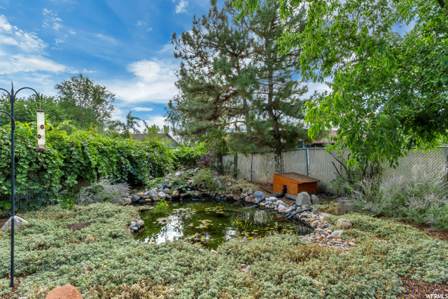Pond