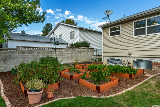 Garden Boxes