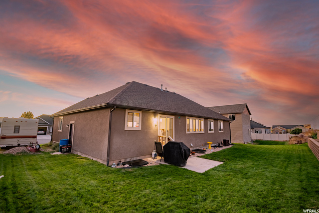 Back yard