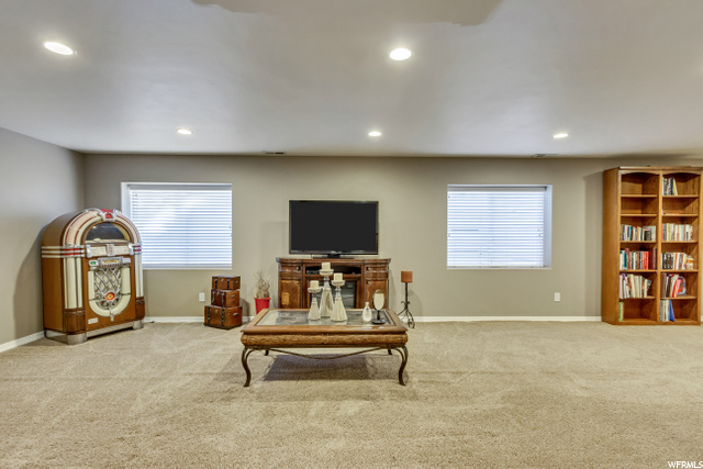 LOWER LEVEL FAMILY ROOM