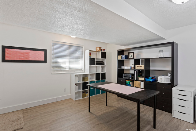 Basement Family Room