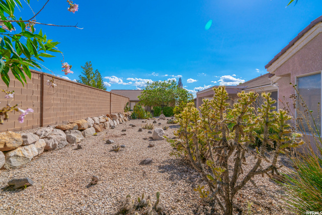 Xeriscaped Back Yard