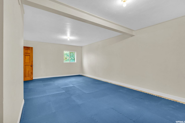 Large Bonus Room
