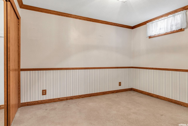 Downstairs Bedroom