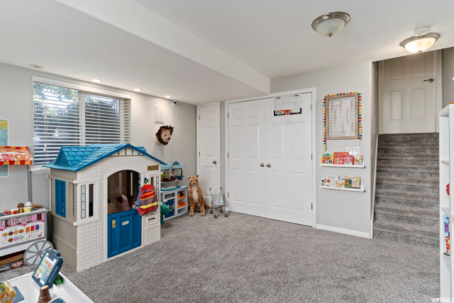 Basement Family Room