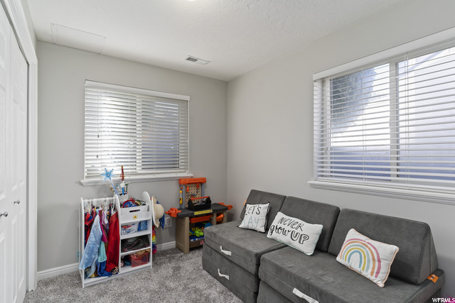 Basement Bedroom