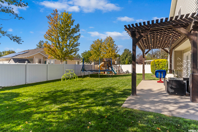 Backyard (alt view)