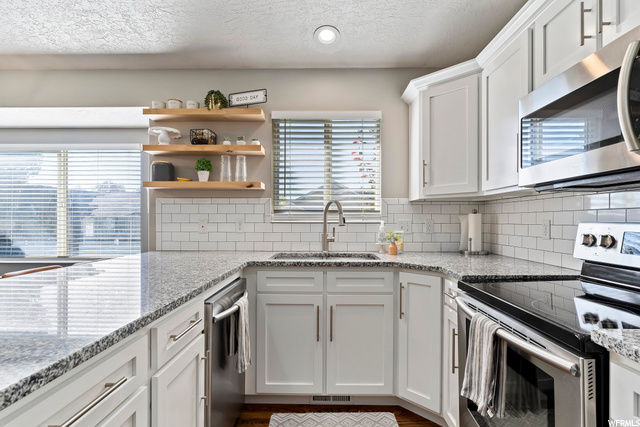 Kitchen (backyard view)