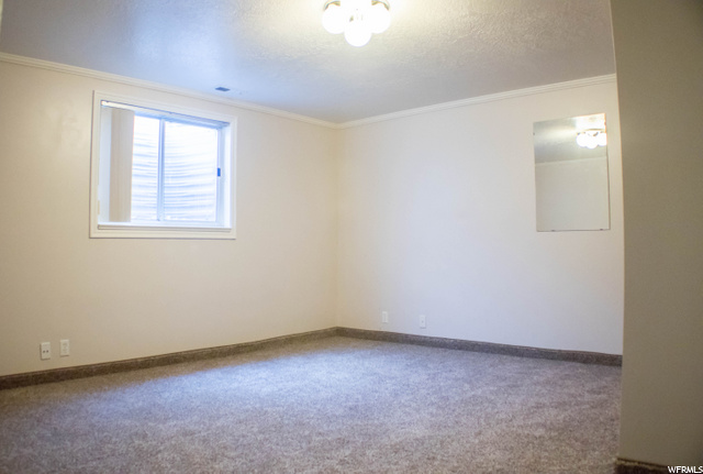 Basement Bedroom #1