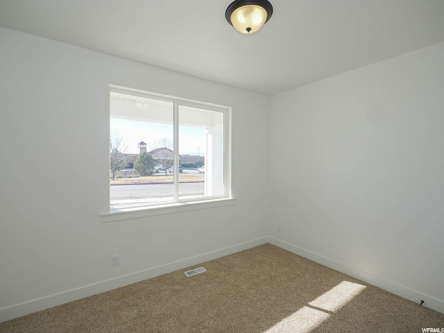 carpeted spare room with natural light