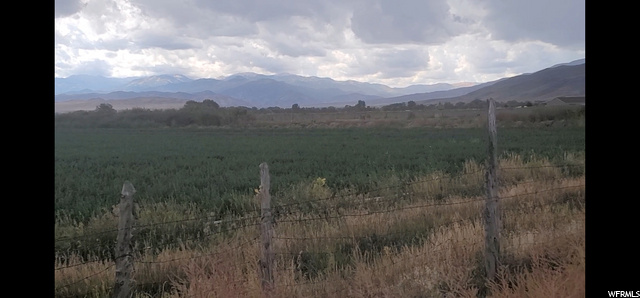 Active Farm From the corner of 200 East and 800 north in Elisinore. Travel East 4900 feet to find about the center of the Parcel, which will be on the South of the Road. (roughly 9/10 of a mile- [.87-.96 of a mile as you travel to find the start and end property lines]  Lat 38.69314 and Lon -112.125381 will put you in the center of the 7.59 acres.