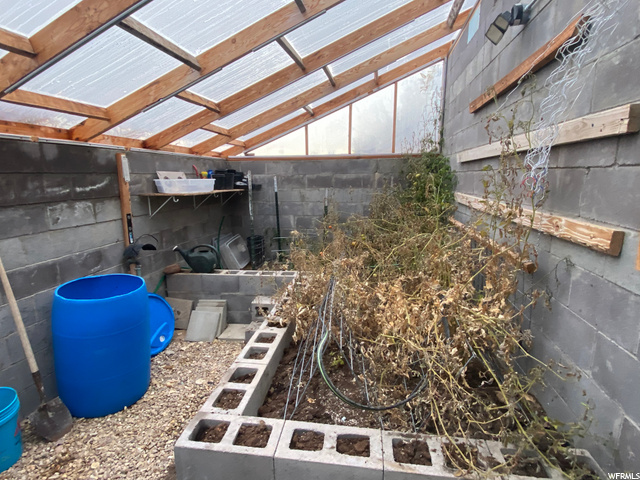 inside greenhouse