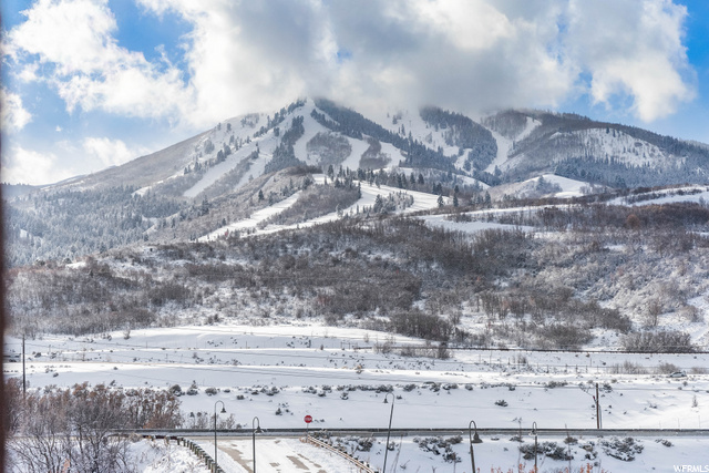 Bald Mountian Views
