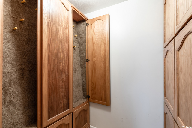 Inside gun vault