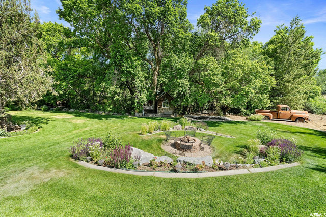 Gorgeous Yard