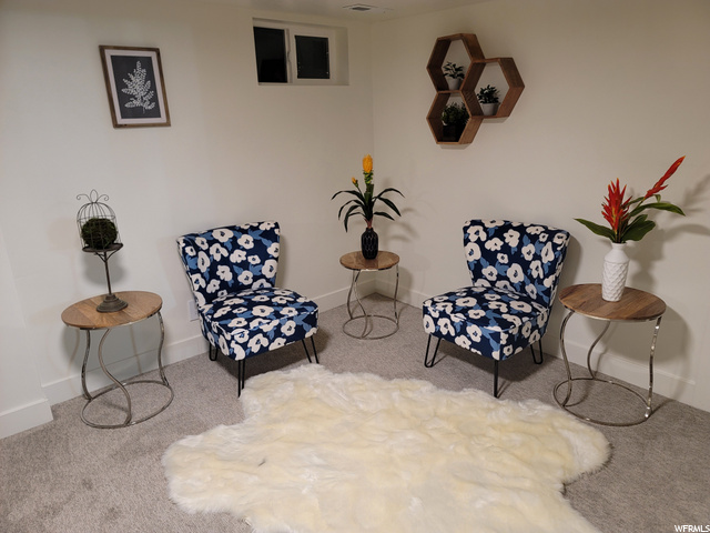 Lower Level Family Room