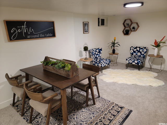 Lower Level Family Room