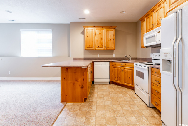 Basement Great Room & Full Kitchen
